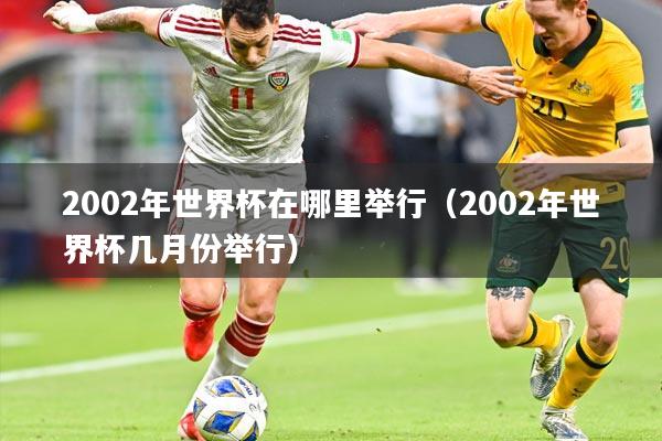 2002年世界杯在哪里举行(2002年世界杯几月份举行)