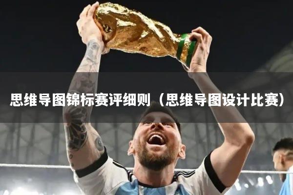 思维导图锦标赛评细则（思维导图设计比赛）