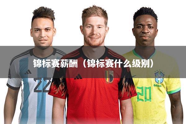 锦标赛薪酬（锦标赛什么级别）