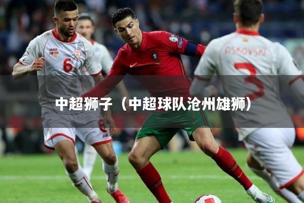 中超狮子(中超球队沧州雄狮)