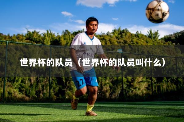 世界杯的队员(世界杯的队员叫什么)