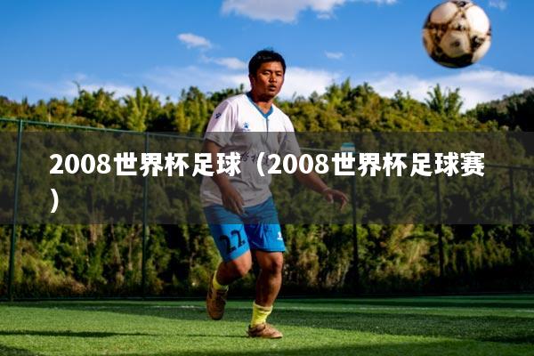 2008世界杯足球（2008世界杯足球赛）