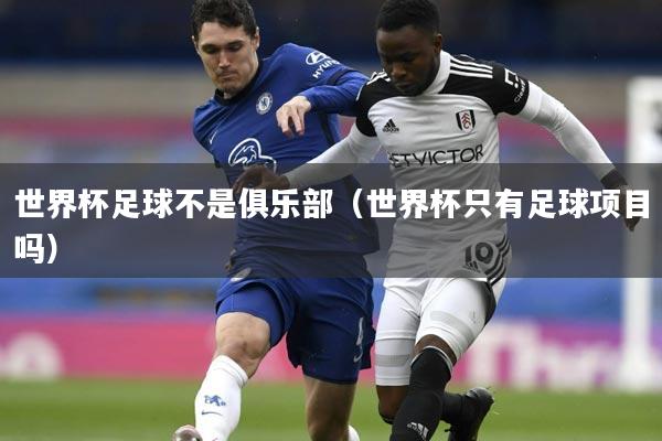 世界杯足球不是俱乐部(世界杯只有足球项目吗)