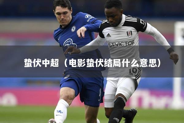 蛰伏中超（电影蛰伏结局什么意思）