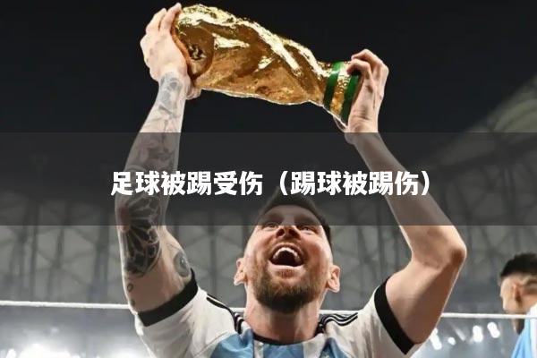 足球被踢受伤（踢球被踢伤）