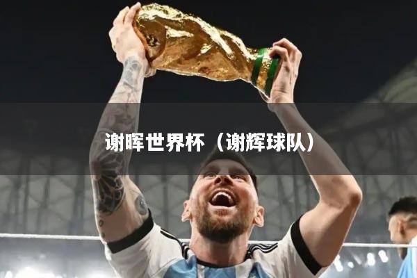 谢晖世界杯（谢辉球队）