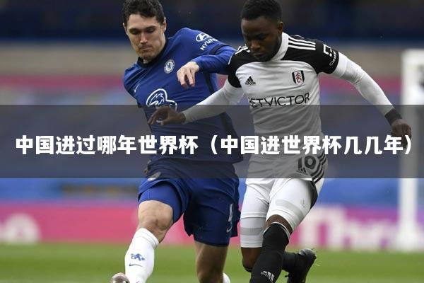 中国进过哪年世界杯(中国进世界杯几几年)