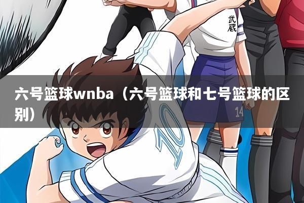 六号篮球wnba(六号篮球和七号篮球的区别)