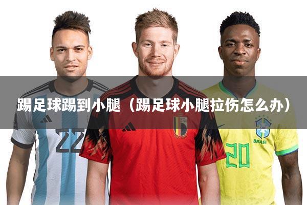 踢足球踢到小腿（踢足球小腿拉伤怎么办）