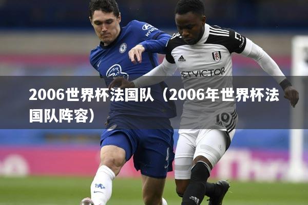 2006世界杯法国队(2006年世界杯法国队阵容)