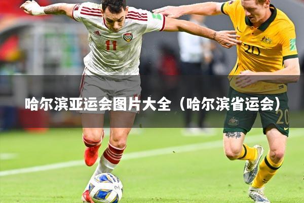 哈尔滨亚运会图片大全(哈尔滨省运会)