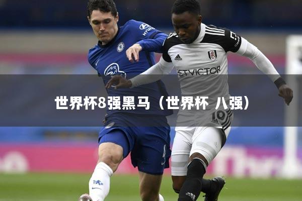 世界杯8强黑马(世界杯 八强)