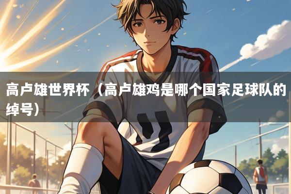 高卢雄世界杯(高卢雄鸡是哪个国家足球队的绰号)