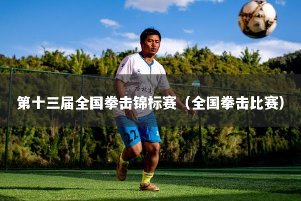 第十三届全国拳击锦标赛(全国拳击比赛)