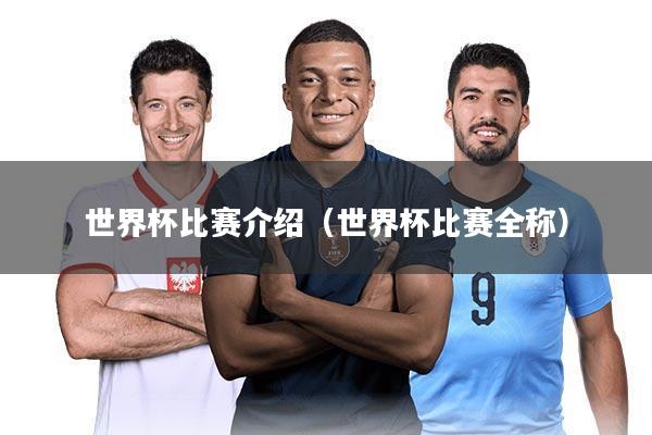 世界杯比赛介绍（世界杯比赛全称）