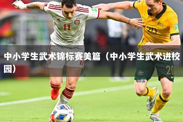 中小学生武术锦标赛美篇（中小学生武术进校园）