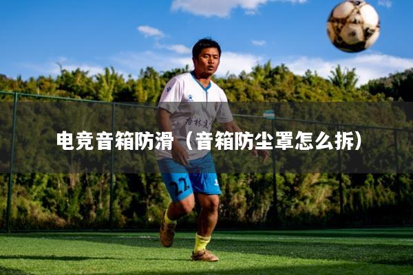 电竞音箱防滑(音箱防尘罩怎么拆)