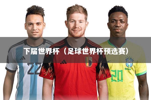 下届世界杯（足球世界杯预选赛）